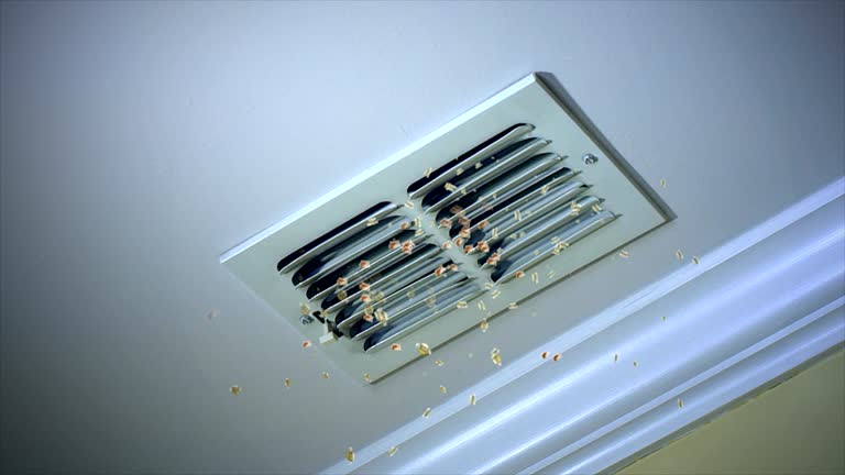 Best Duct Cleaning Specialists  in Iota, LA