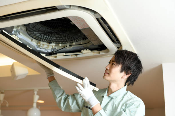 Best Home Air Vent Cleaning  in Iota, LA